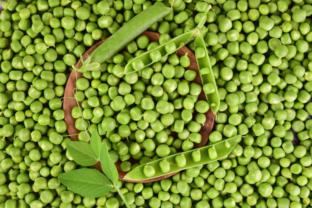green peas- plant protein