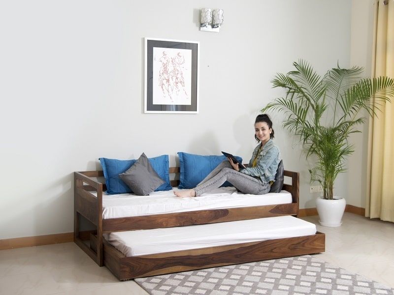 Hugo-Sofa-Cum-Bed-with_underbed1.jpg