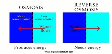rent water purifier