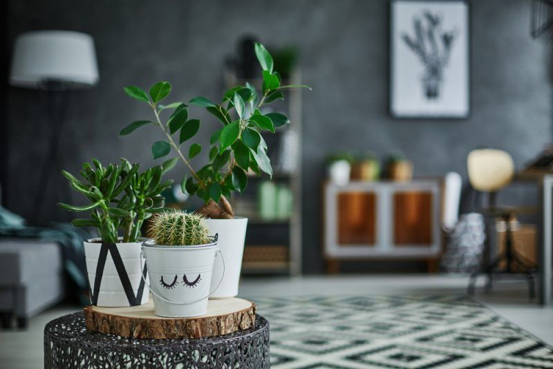 Home Furniture on Rent