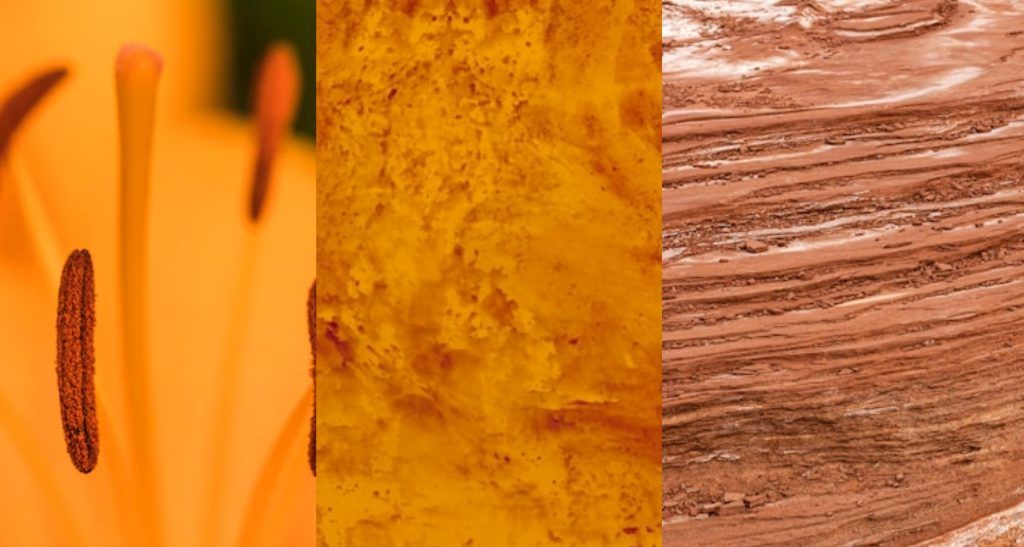 cozy paint colours for home