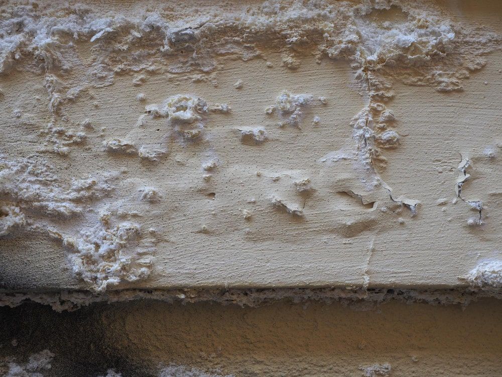wall dampness