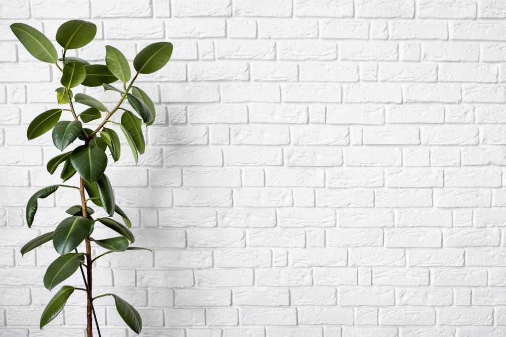 wall painting colour ideas 