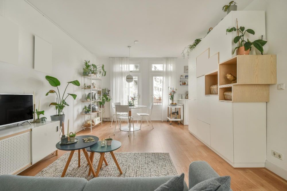 interior-spacious-living-room-connected-dining-area-lots-house-plants-min.jpg