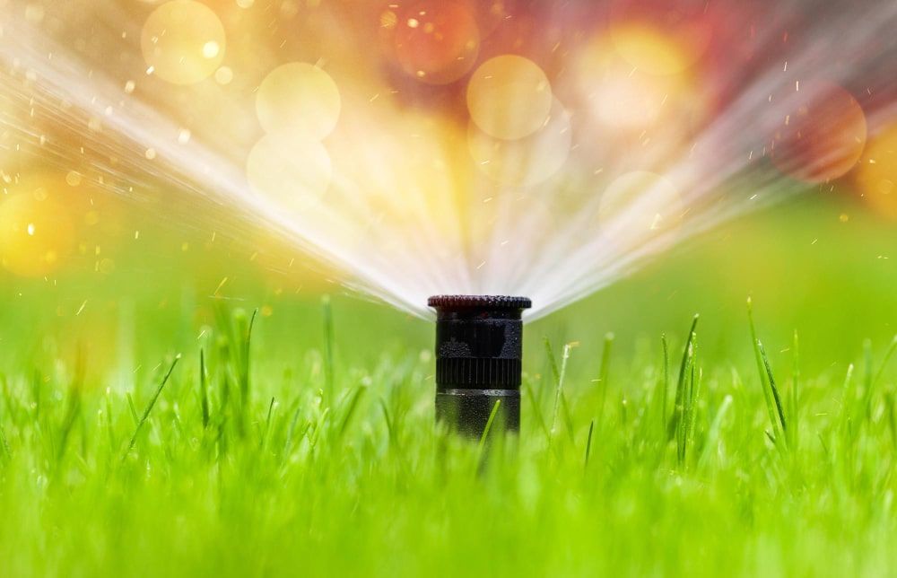 smart water sprinkler