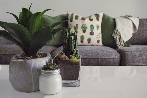 Modern apartment furnished with sleek, contemporary pieces, designed specifically for a rented property