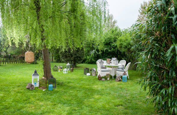 ways to enhance your backyard