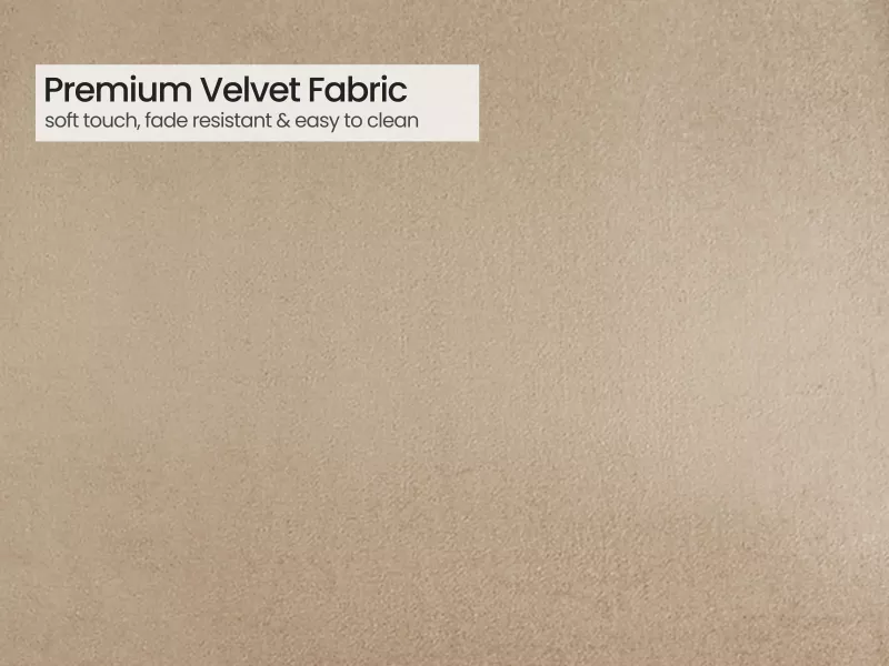 Alexa Solid Wood 6 Seater Dining with Joey Beige Chairs