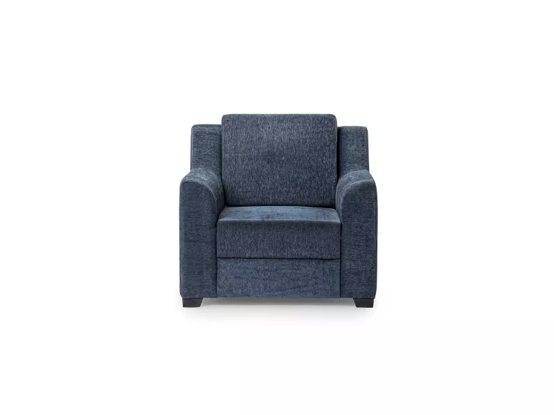 Erica Upholstered Single Seater Sofa in Livid Color