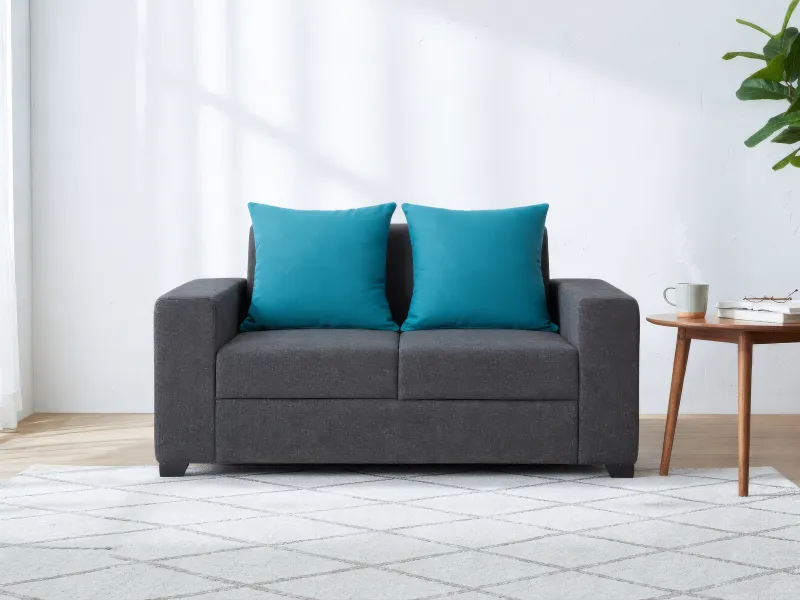 Hugo Upholstered Two Seater Sofa in Livid Color
