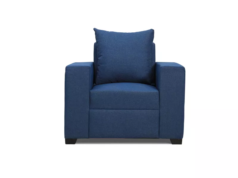 Hugo Upholstered Single Seater Sofa in Blue Color