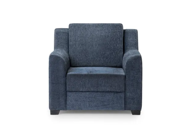 Erica Upholstered Single Seater Sofa in Livid Color
