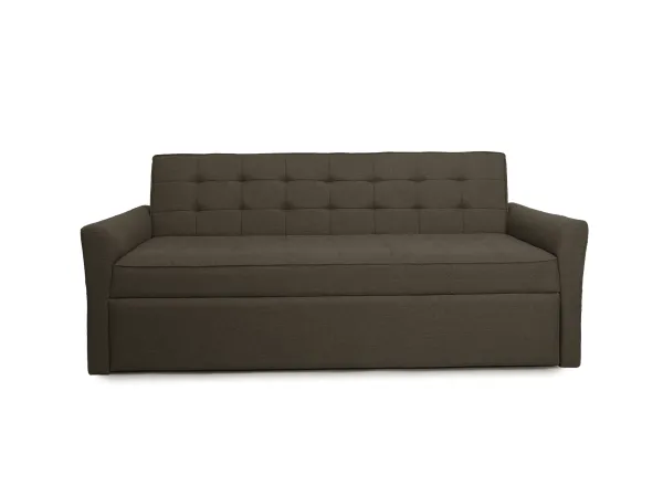 Zenith Sofa Cum Bed in Dark Grey